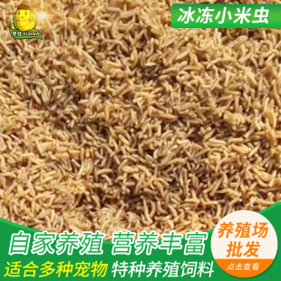 �~�M�rзω�������x���r�x�~��� �S�����ױ��r����С���x