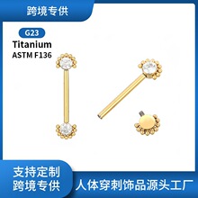 F136�Ѵ��̶��궤G23��˫ͷ5A�ʯ������ת�껷����ѷ�����ѺϽ�