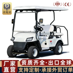 Electric Golf Carts for Tourist Attractions, Sales Offices, Factories, Guesthouses, and Hotel Receptions