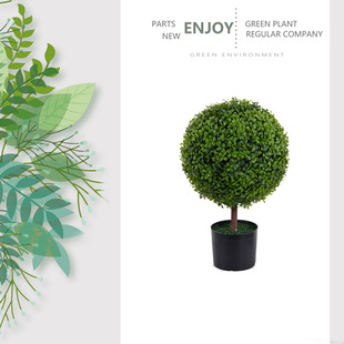 ����Gֲ�������Է��������҃Ȕ[������H56cm���Ӳ���N��٘�