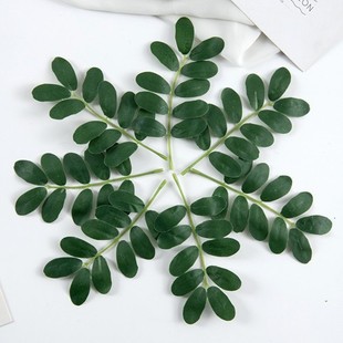 ���滱���~������~���컱���~�ӈ@�ֹ����쾰�bGֲ�ٻ����֦