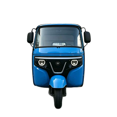 cross-border, blue, Sərnişin üçtəkərli motosikllar