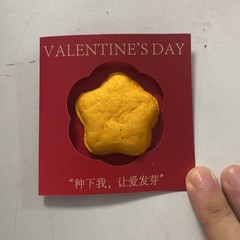 立体シードペーパー入場券名刺小さなカードグリーティングカードチケット発芽可能立体マルチベースカードアート紙卸売