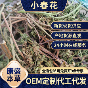 �F؛���lС����һ���ꎵ�ާ�߲�Ҋ���_���uꎵ��ʻ�ާ �������u