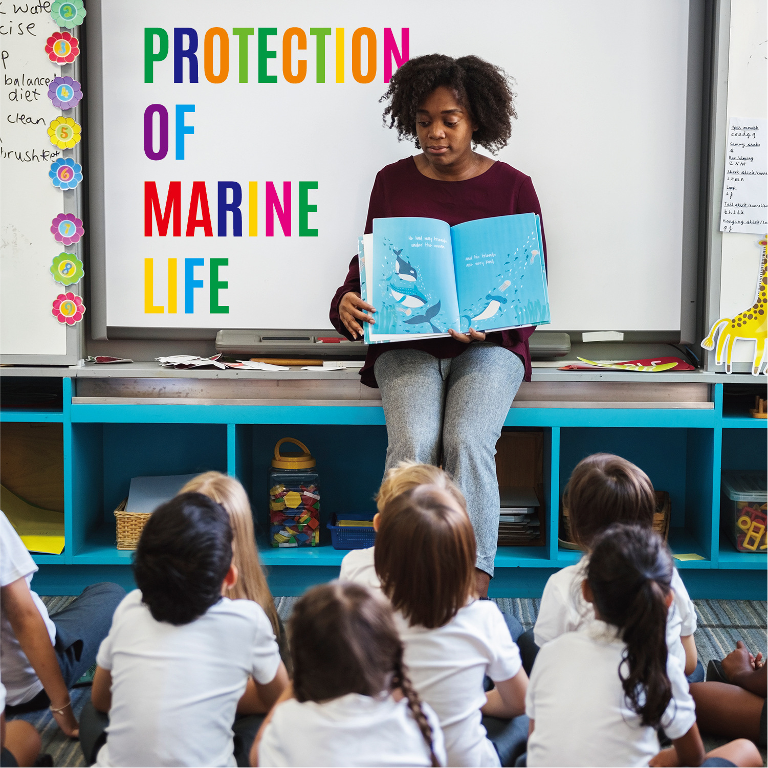 5英寸彩色场景 (3).jpg