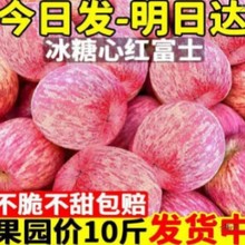 崨tʿOˮr䮔ƽİ]Ƽ