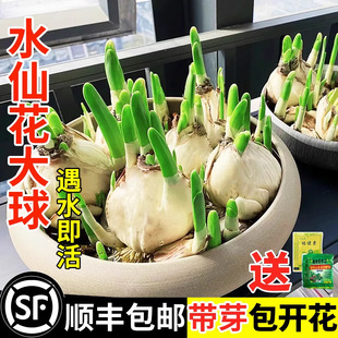 ˮ�ɻ��N�� ˮ�����Ԇΰ��ذ�Gֲ��ˮ�ɷN������ˮ�ஔ���_��