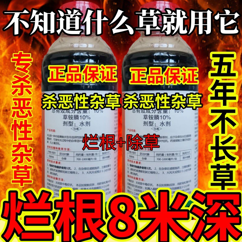 杀草快高浓度精草铵膦铵盐果园小飞蓬各种杂草不知道什么草就用它