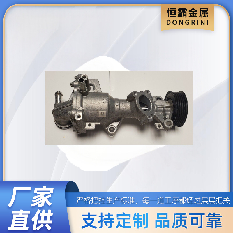 pump OE：2702000600