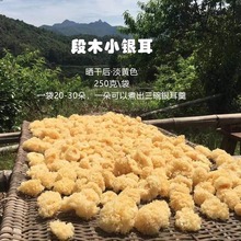 С�ľ�󱾲ݟo���zŴ�������Ұ���y�����r�Ұ׹���