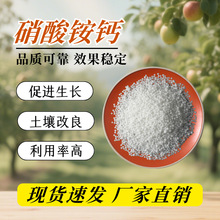 硝酸铵钙氮肥全水溶颗粒瓜果蔬菜农业专用冲施滴灌肥料硝酸铵钙