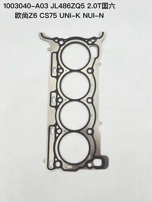 Cylinder and parts Nui-N 2.0t Overhaul