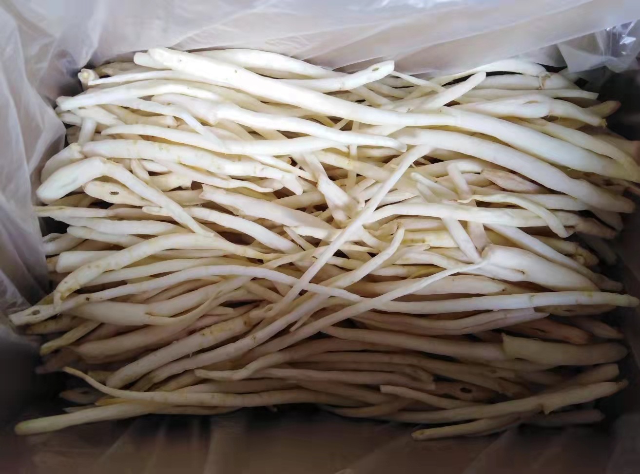 微信圖片_20210929230407