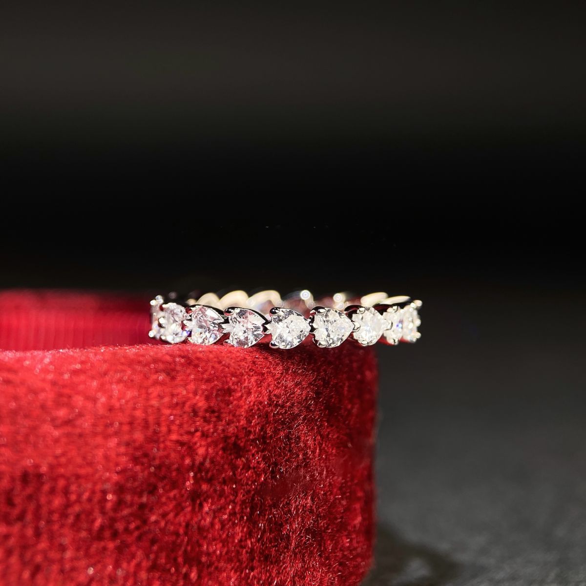 IMG_2314(20240203-162152)