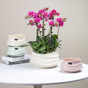 ins���⻨���ڏ������m�����մɸ߼��д�̖�մ���������Ի���