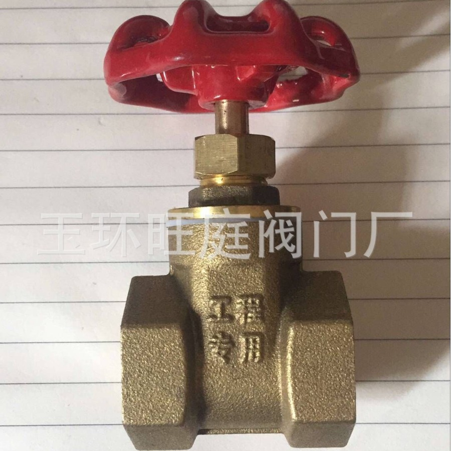 各种 闸阀dn110 DN63 600 80 法兰闸阀dn65 dn200  潜污泵闸阀