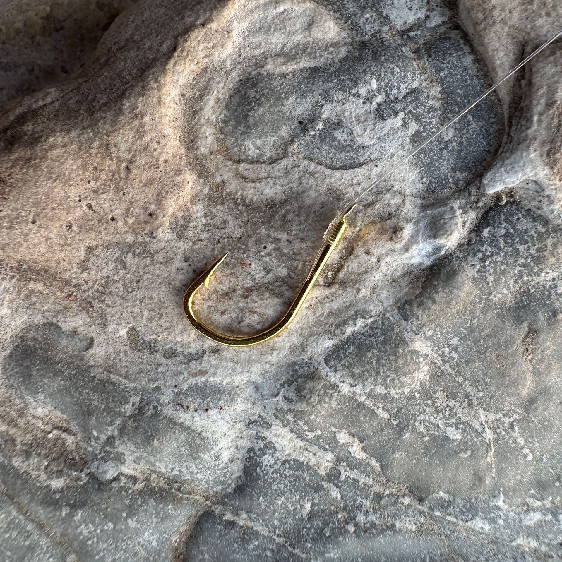 微信图片_20250218140900