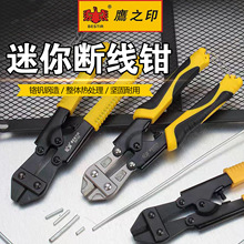 ӥ֮ӡǯ8ӥǯֶǯǯ˿˿ǯͷ