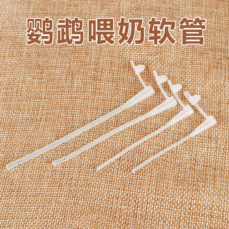 Parrot Birds Feeding Medicine Feeding Silicone Hose Super Soft Hose Hand Feeding Bird Feeding Artifact