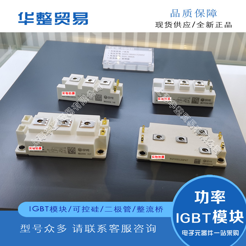 封装正品WGL600ZD65E53全新功率IGBT模块 质量保证 电子元器件