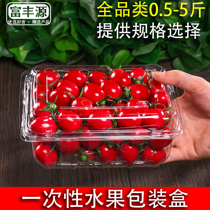 Disposable Fruit Packaging Box Transparent Covered Plastic Box Supermarket 0.5kg Pack 500m Strawberry Fruit Packaging Box