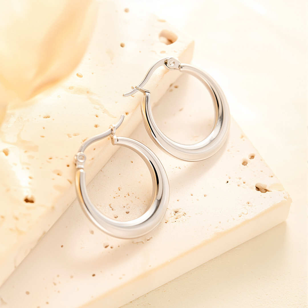 Eh026 earrings steel color