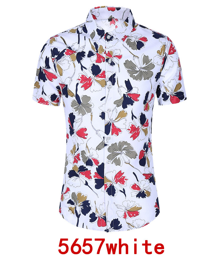 Hafc63e0c34e0496898120a6476100