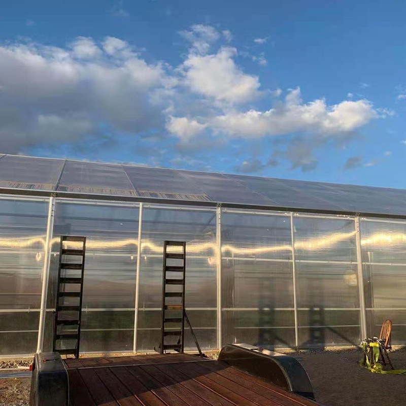 美国公司购买温室大棚 美国公司购买温室大棚