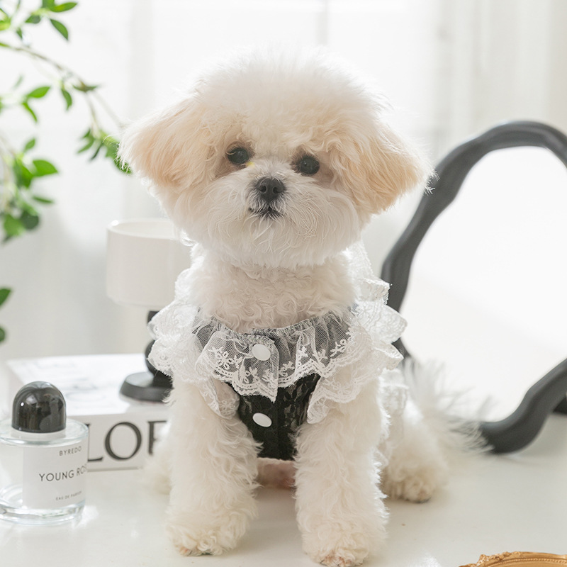Primavera y verano sexy chaleco de tracción de encaje blanco y negro para perros pequeños y medianos gatos Teddy pet dog clothes