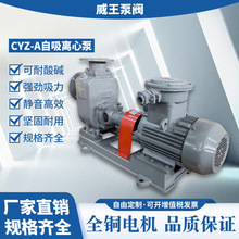 �������|������CYZ-A����ʽ�x���ͱ�100CYZ-A-40�������x���ͱ�