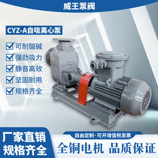 �������|������CYZ-A����ʽ�x���ͱ�100CYZ-A-40�������x���ͱ�