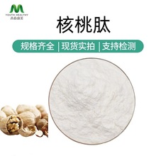 原料厂家现货供应核桃肽 水溶性低聚肽粉