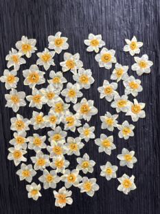 ˮ�ɻ�ֲ���diy�ֹ����z�֙C�����|�Ʒ�bɻ��滨�������