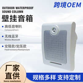 跨境壁挂音响广播蓝牙功放定压校园喇叭超市商场会议音箱扩音器