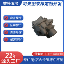 铝合金精密铸造件器械异形结构压铸件五金压铸件盐雾测试模具加工