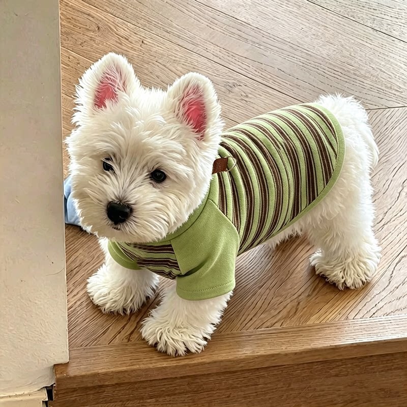 Dog Clothes New Early Autumn Elastic Striped Shirt Two-Legged Clothes for Small Dogs Bichon Teddy Pet Fall/Winter Base Shirt Dog Clothes New Early Autumn Elastic Striped Shirt Two-Legged Clothes for Small Dogs Bichon Teddy Pet Fall/Winter Base Shirt