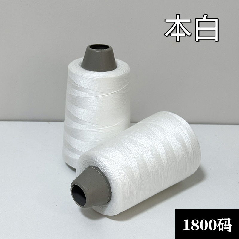 1800 코드북 화이트