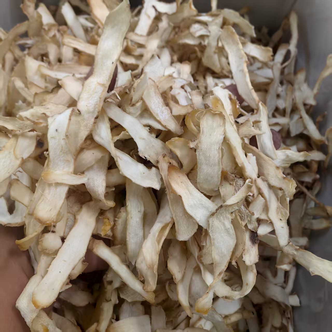 Yu Zhu Dried Polygonatum Root 500g Hunan Sulfur-Free Herbal Tea and Soup Ingredient quality and texture