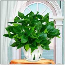 �G�}�Gֲ�ٻ�������ֲ��ӿ͏d��ה[�O�G�~�����b�