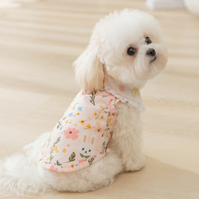 �ɐ�̩���黨����؈�ļ���������С��Ȯ�L�乷���·�̩�������·�