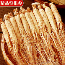 长白山高年整枝干人参干货批发中老年人参批发白参农产品生晒参