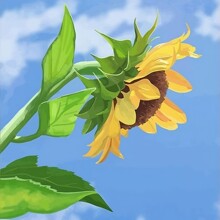 PXX����ͬ��DIY�����ͻ���ͯ�ֻ溣�߷羰��ɫ����ϩ�����ֻ�����