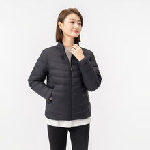 IpqŮ̿2025¿Ʒƃđȴﶬů׳