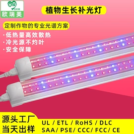 LED支架灯;LED日光灯;筒灯