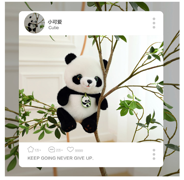 详情图