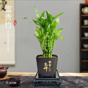 ���㸻�F�������^���񹝹���С̖�����҃�ˮ�B�����k���Ҏ����Gֲ