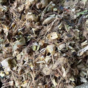 �ӹ����l���|������  ������  ����Ƥ  ���Ƿ� ����������ă�