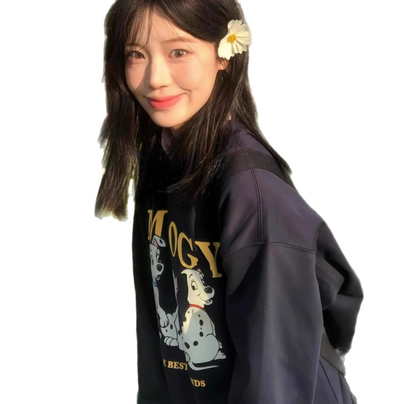 秋冬美式复古可爱斑点狗重磅加绒加厚圆领卫衣男女情侣装薄款上衣|undefined