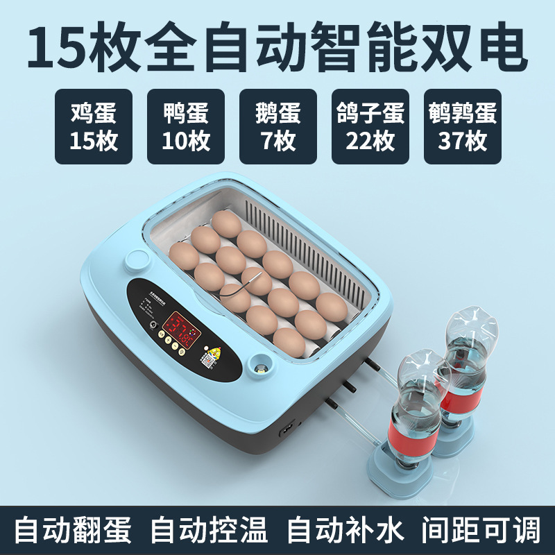 Incubadora, hogar pequeño, incubadora inteligente automática, incubadora, incubadora, loro, huevo de pájaro, pollo, pollo, pollo