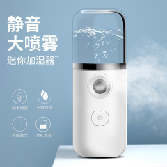 新製品アップルボタン補水器手持ち美容器usb充電スプレーアルコール消毒水定ロゴ